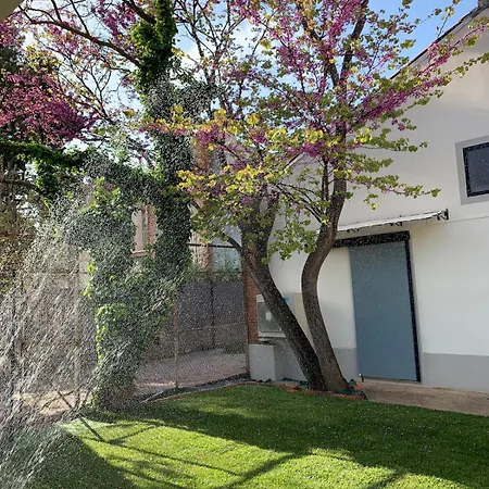 Avec Jardin Villa Thuir